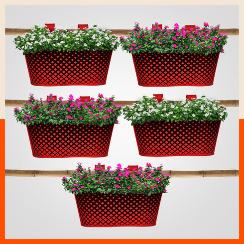 DIA Hanging Metal Pot Holders / Planters for Home / Balcony / Garden | Red - Set of 5